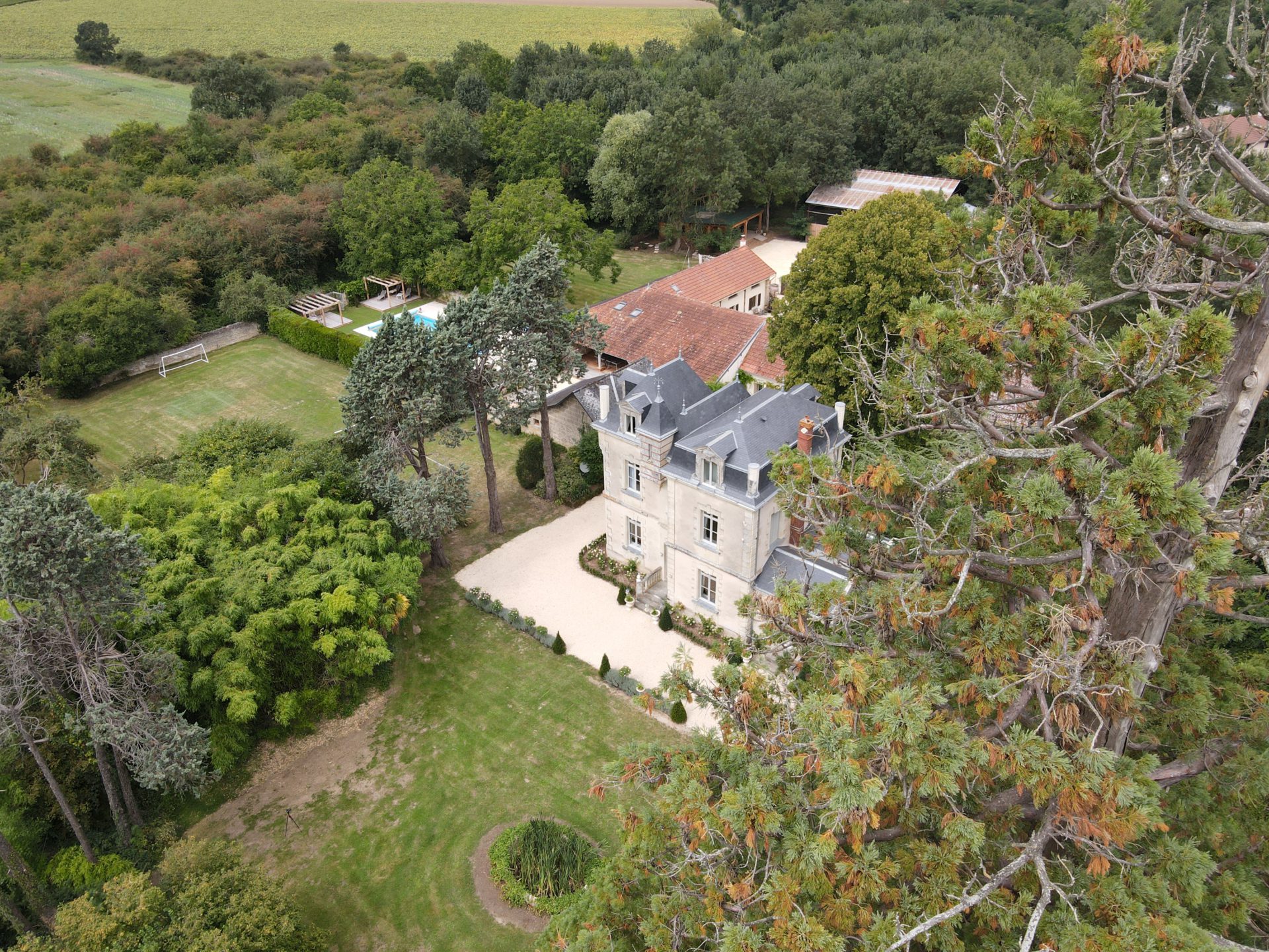 View from Sequoia at Chateau de la Vigne